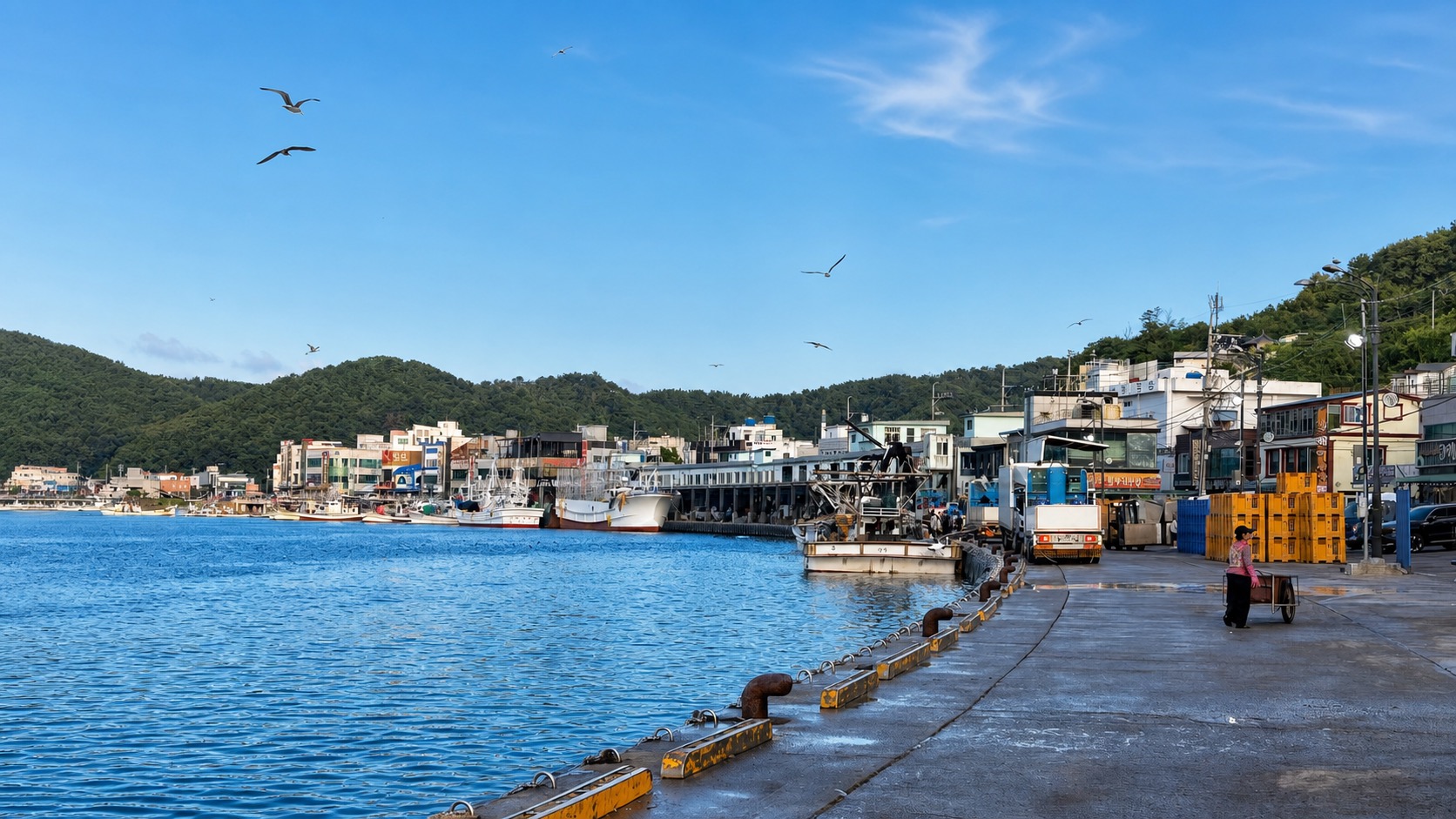 Rocky Korean shoreline for private fishing lessons